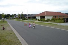 Hyrdevænget